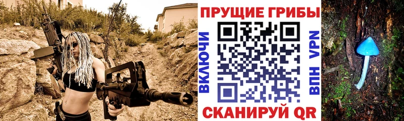 Псилоцибиновые грибы Psilocybine cubensis  где купить   Мирный 